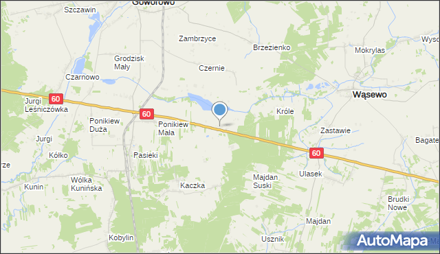 mapa Kolonia Czernie, Kolonia Czernie na mapie Targeo